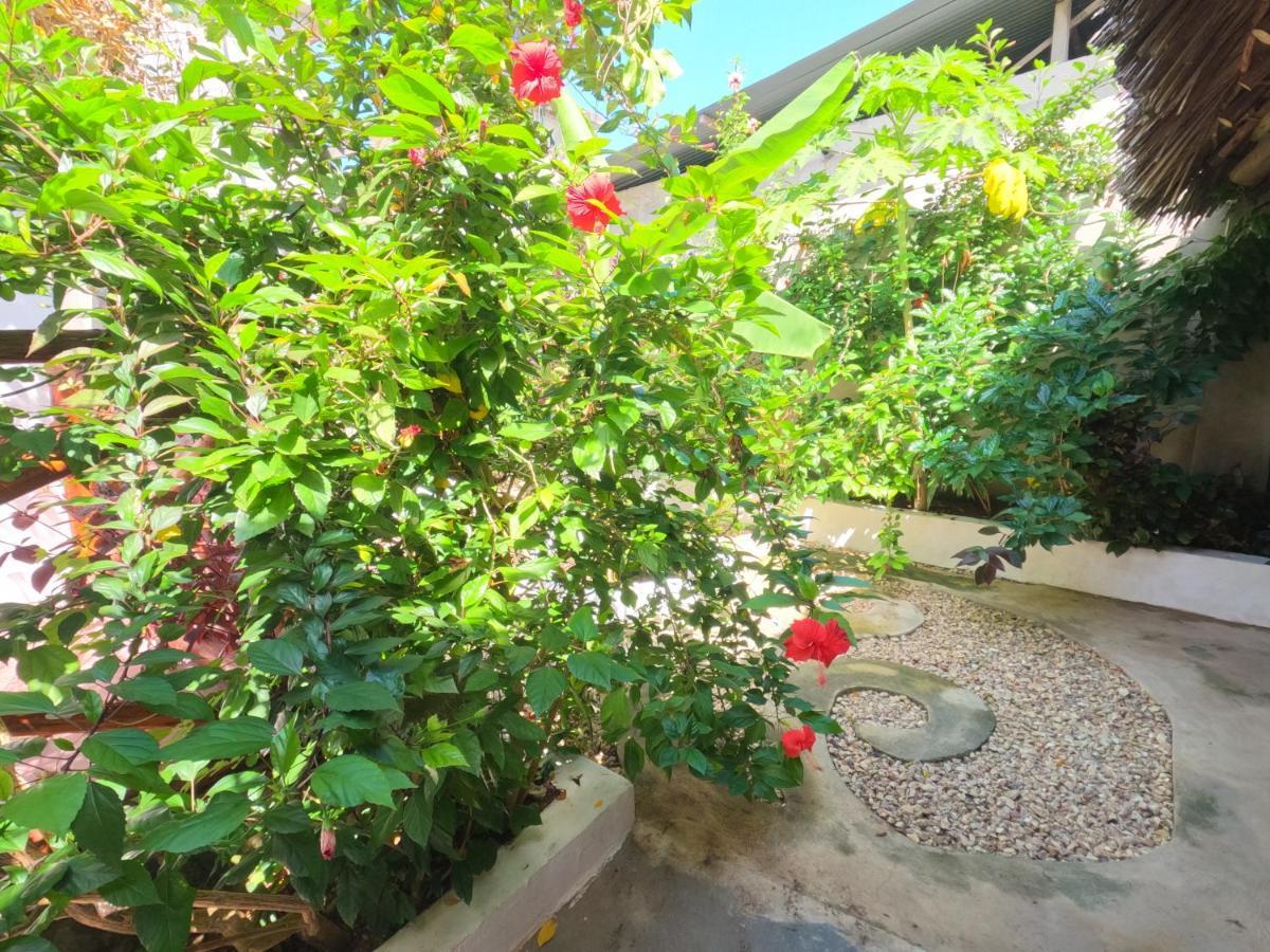 Bed and Breakfast Savi House Нунгви Экстерьер фото